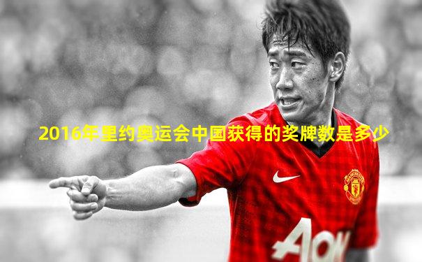 2016年里约奥运会中国获得的奖牌数是多少
