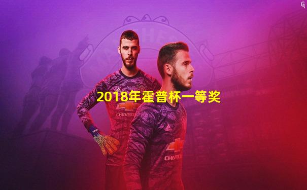 2018年霍普杯一等奖