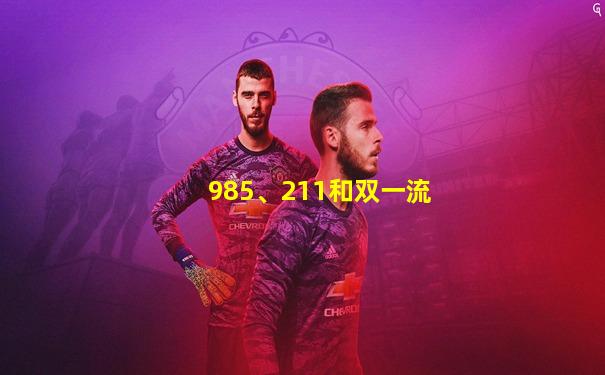 985、211和双一流