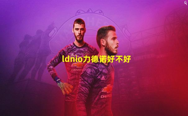 ldnio力德诺好不好