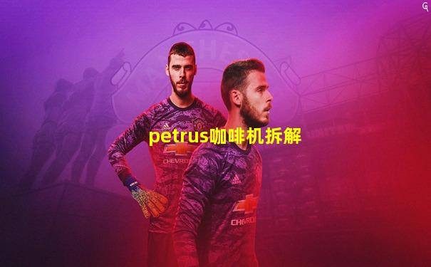 petrus咖啡机拆解