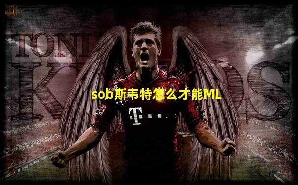 sob斯韦特怎么才能ML