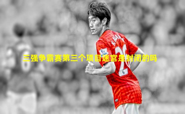 三强争霸赛第三个项目迷宫是封闭的吗