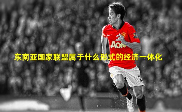 东南亚国家联盟属于什么形式的经济一体化
