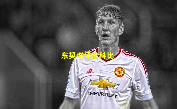 东契奇评价科比