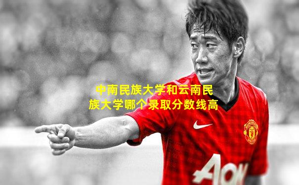 中南民族大学和云南民族大学哪个录取分数线高