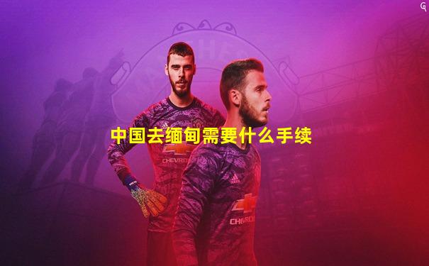 中国去缅甸需要什么手续