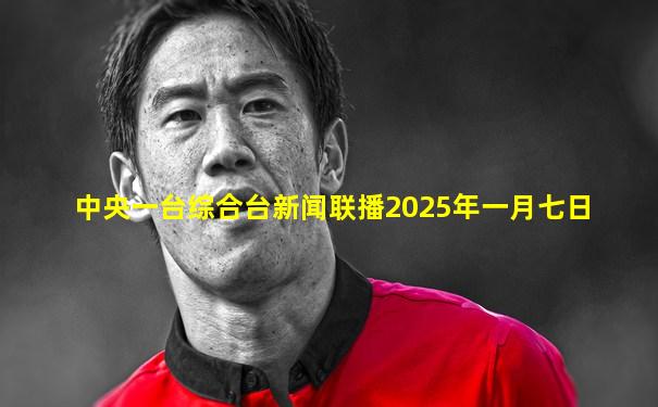 中央一台综合台新闻联播2025年一月七日