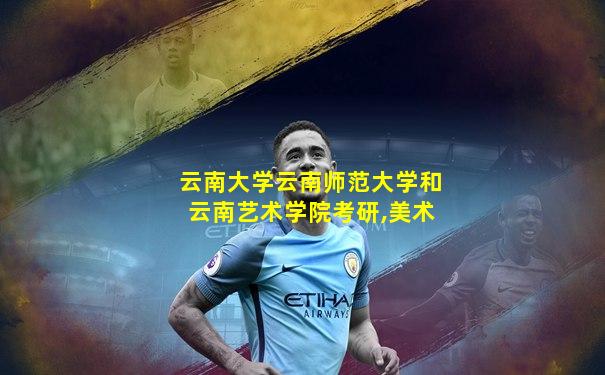 云南大学云南师范大学和云南艺术学院考研,美术