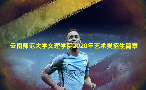 云南师范大学文理学院2020年艺术类招生简章