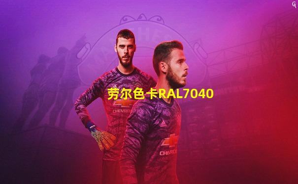劳尔色卡RAL7040