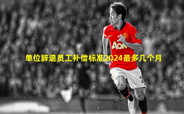 单位辞退员工补偿标准2024最多几个月