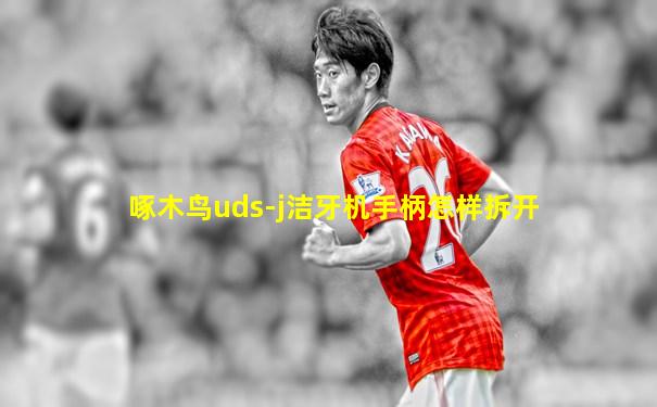 啄木鸟uds-j洁牙机手柄怎样拆开