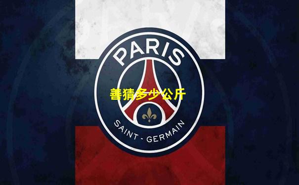善猜多少公斤