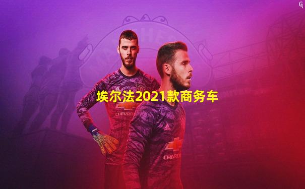 埃尔法2021款商务车