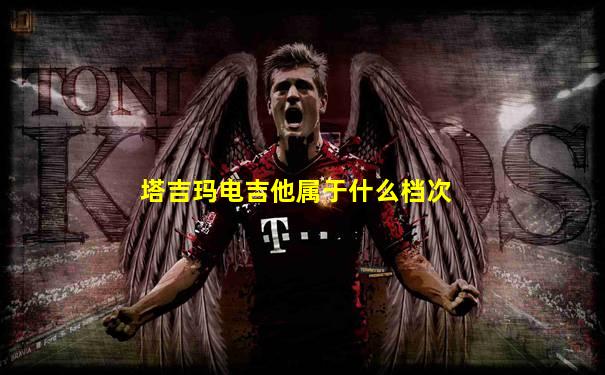 塔吉玛电吉他属于什么档次