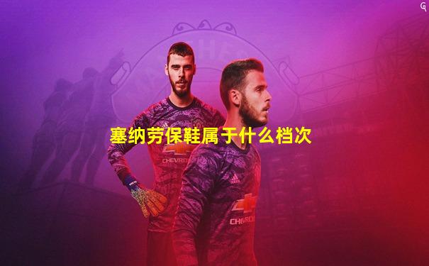 塞纳劳保鞋属于什么档次