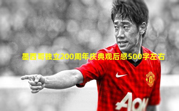 墨西哥独立200周年庆典观后感500字左右