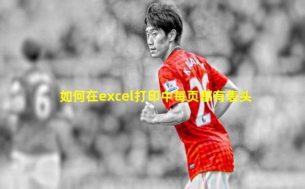 如何在excel打印中每页都有表头