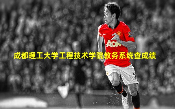 成都理工大学工程技术学院教务系统查成绩