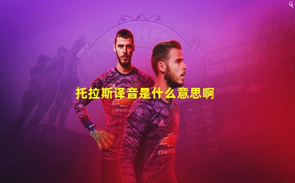 托拉斯译音是什么意思啊