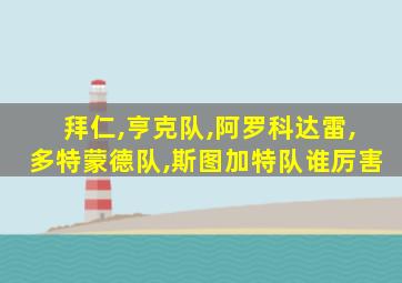拜仁,亨克队,阿罗科达雷,多特蒙德队,斯图加特队谁厉害