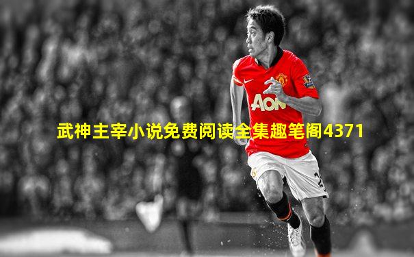 武神主宰小说免费阅读全集趣笔阁4371