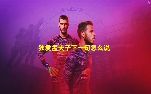 独爱孟夫子下一句怎么说