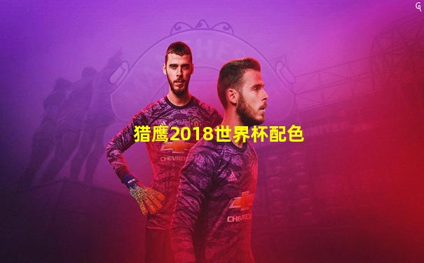 猎鹰2018世界杯配色