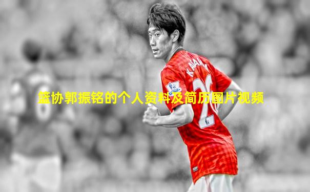 篮协郭振铭的个人资料及简历图片视频
