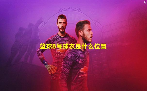 篮球8号球衣是什么位置