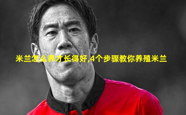 米兰怎么养才长得好,4个步骤教你养殖米兰