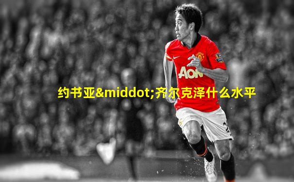 约书亚·齐尔克泽什么水平