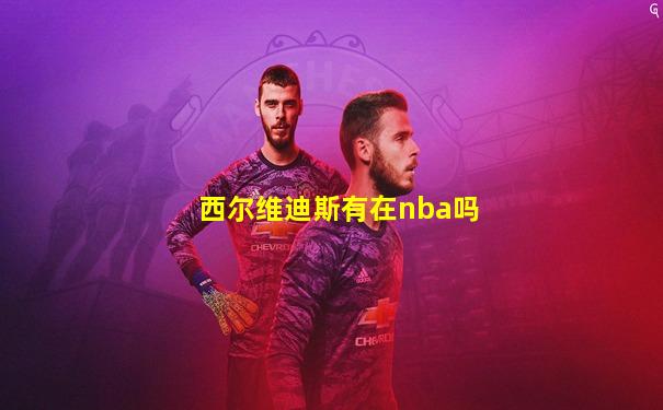 西尔维迪斯有在nba吗