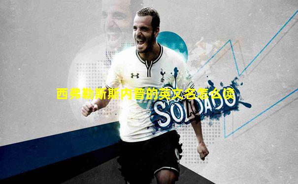 西弗勒斯斯内普的英文名怎么读