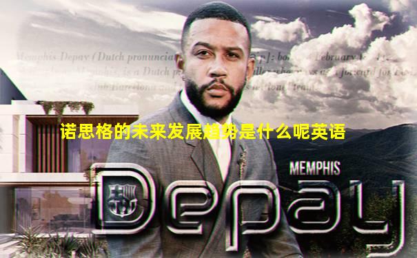 诺思格的未来发展趋势是什么呢英语