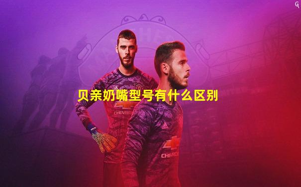 贝亲奶嘴型号有什么区别