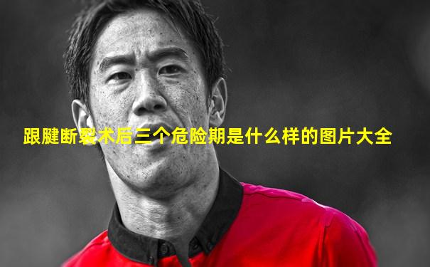 跟腱断裂术后三个危险期是什么样的图片大全