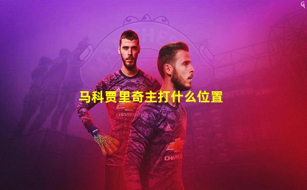马科贾里奇主打什么位置